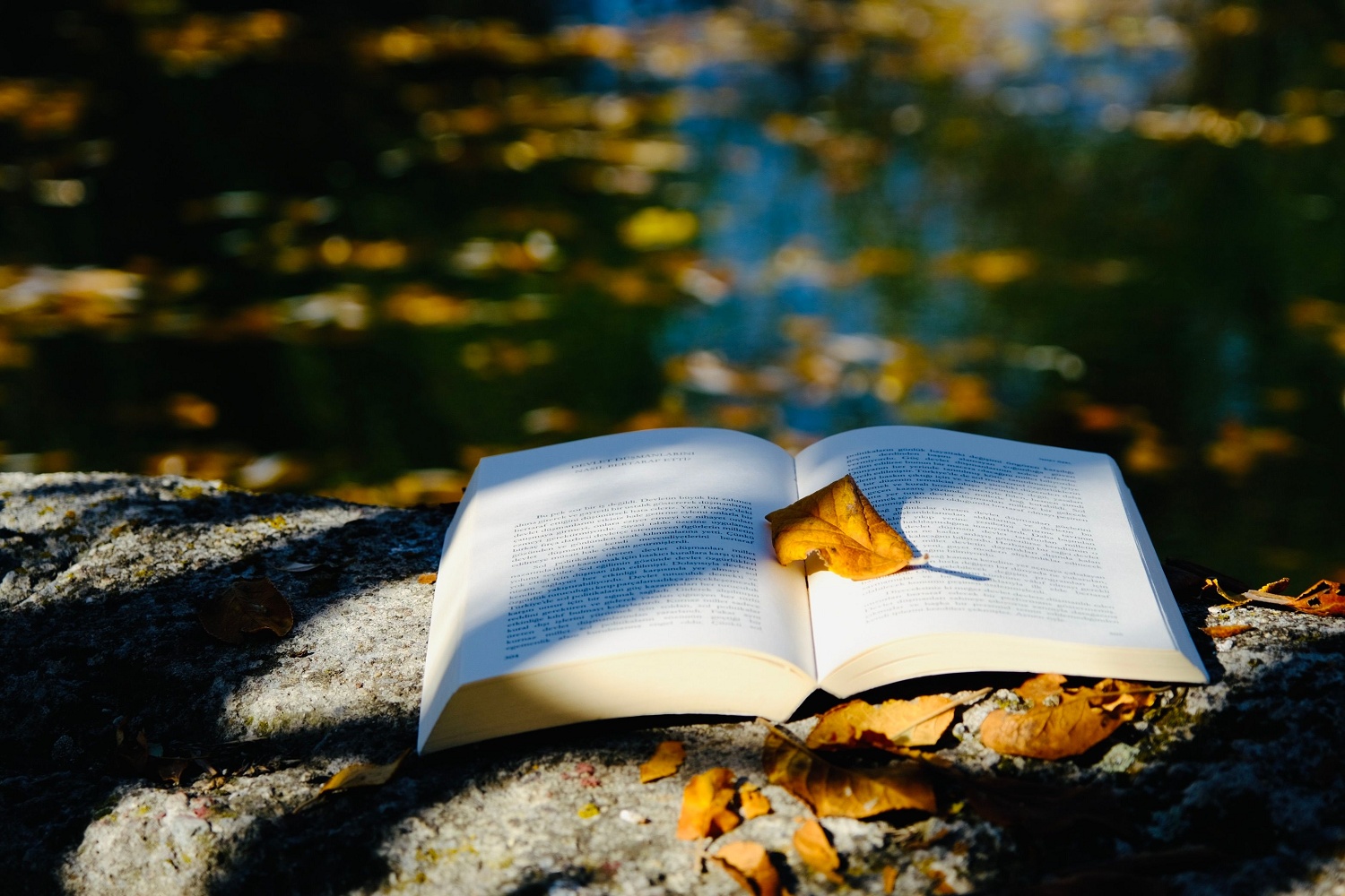 3 Ways to Write a Blurb for a Book Series or Box Set